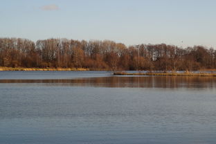 九游官网入口地址-“东安湖体育公园迎来跑酷明星,挑战全新极限”  第2张